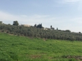 Maison à vendre Moshavim Galilée nord Israël.