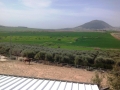 Maison à vendre Moshav Galilée nord Israël.