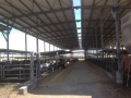 Fermes à vendre en Galilée située à Moshav Kfar Kish nord d'Israël. 