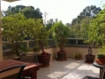 Penthouses à vendre à Kfar Saba.