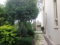 Maison de luxe à vendre à Moshav Israel.